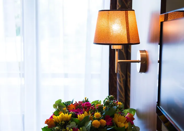 Schaepkens Van St Fijt Отель