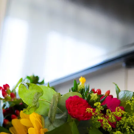 格林莱恩酒店 酒店 法尔肯堡