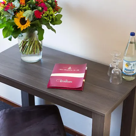 Schaepkens St Fijt 4*