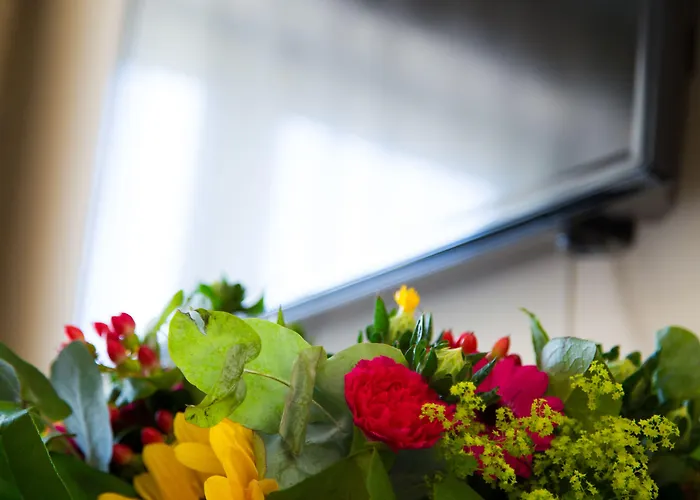 Schaepkens St Fijt Hotel Valkenburg aan de Geul