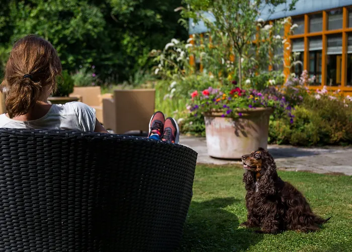 Schaepkens St Fijt 4*